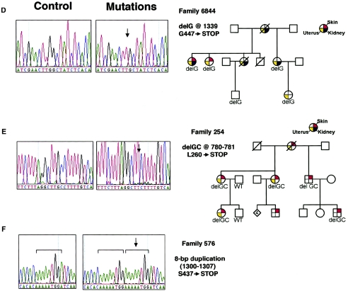 Figure  4