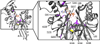 FIG. 1