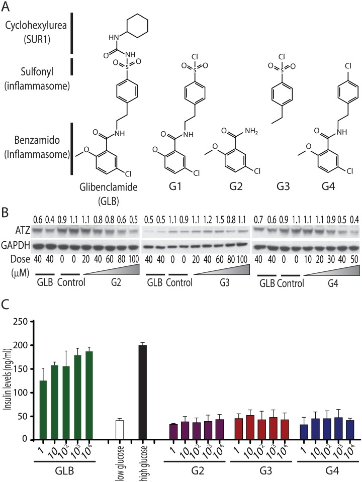 Fig 6