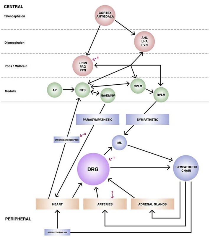 Figure 2