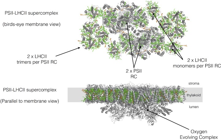 Figure 11