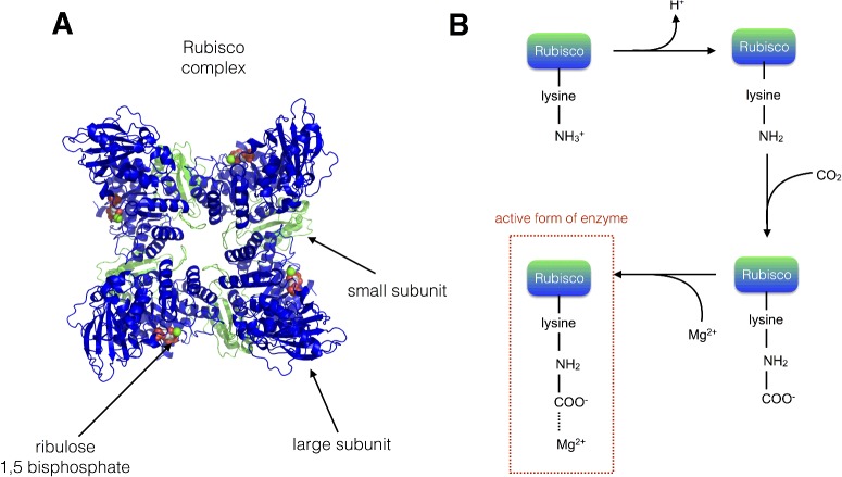 Figure 17