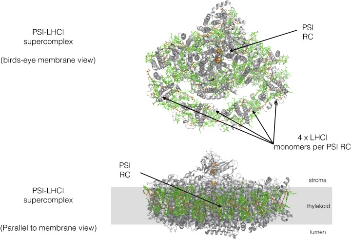 Figure 13