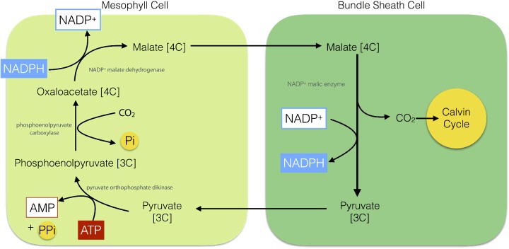 Figure 19