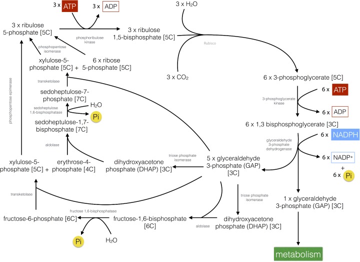 Figure 16