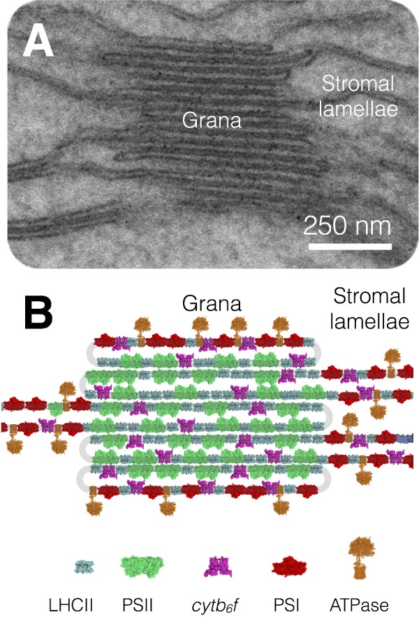 Figure 15