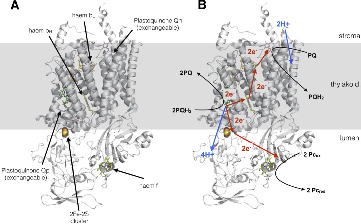 Figure 14