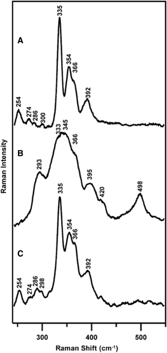 Fig. 8