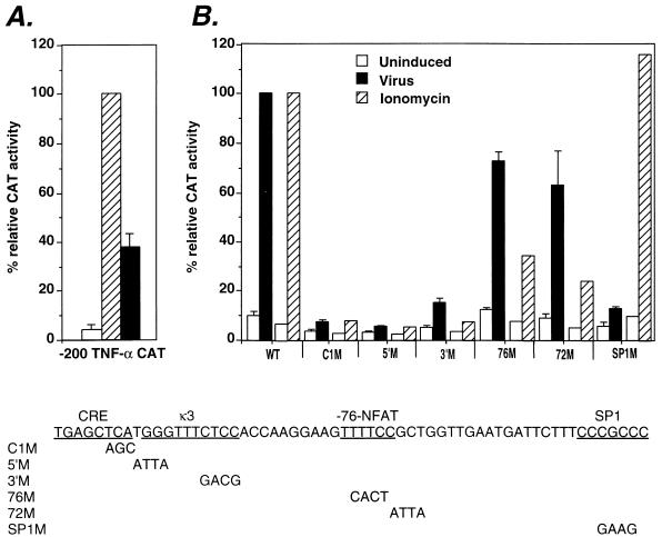 FIG. 1