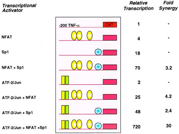 FIG. 6