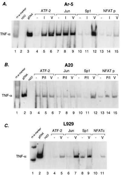 FIG. 5