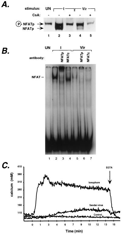 FIG. 3