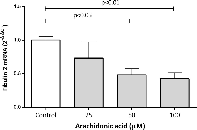 Fig 5