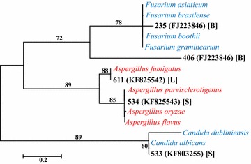 Fig. 3