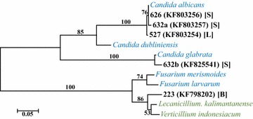 Fig. 4