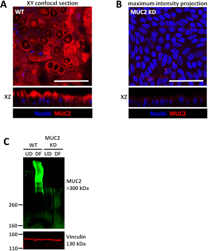 Figure 3: