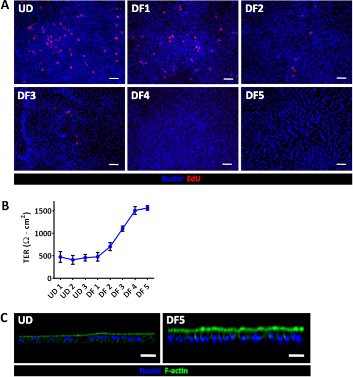 Figure 2: