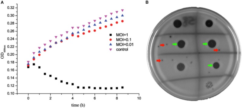 FIGURE 1