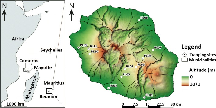 Fig. 1