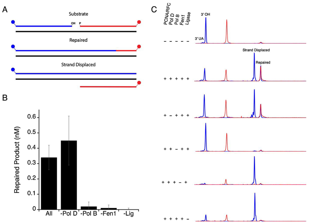 Fig. 7.