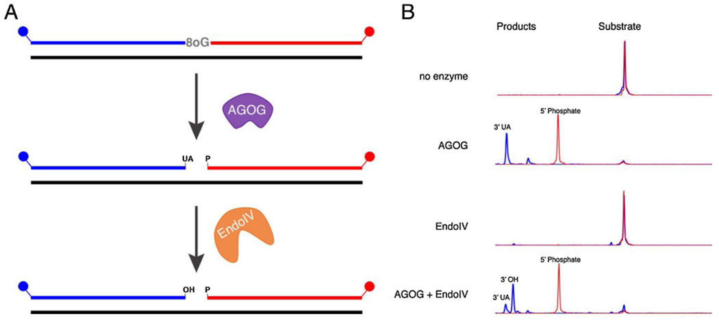 Fig. 6.