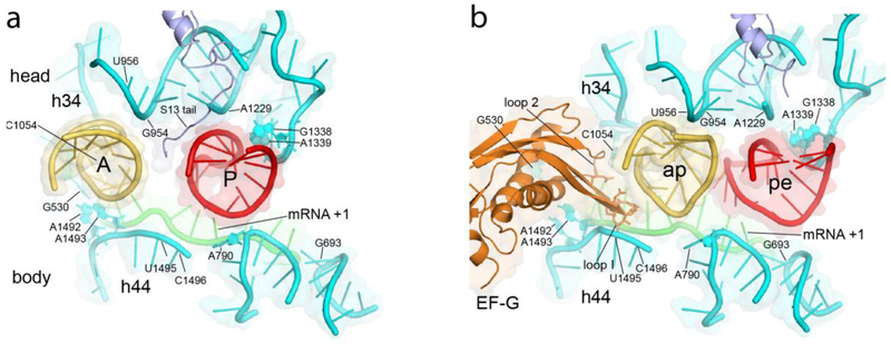 Fig. 3.