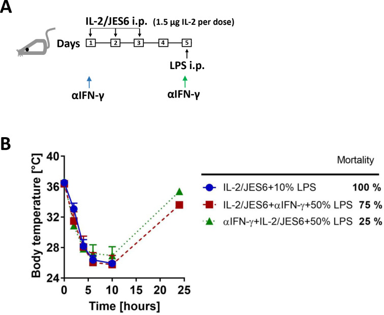 Figure 4—figure supplement 2.