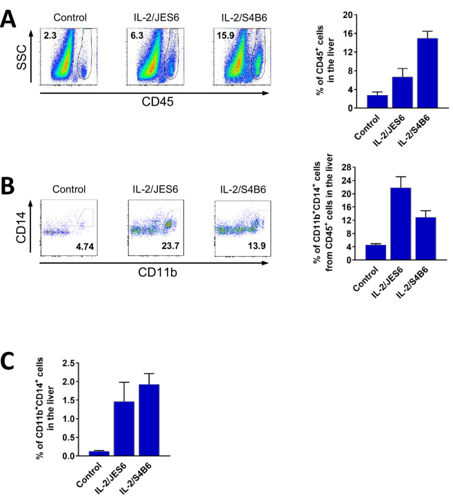 Figure 3—figure supplement 6.