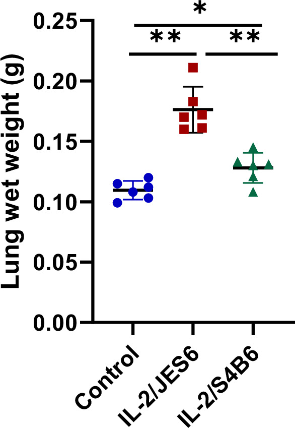 Figure 1—figure supplement 2.