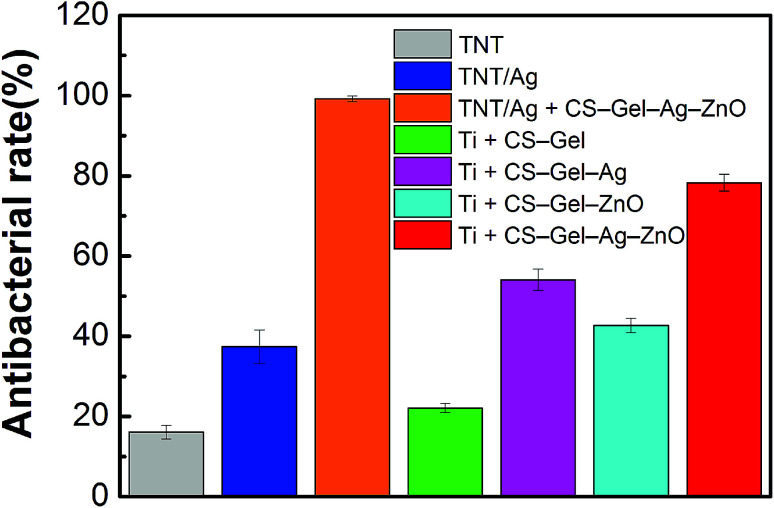 Fig. 10