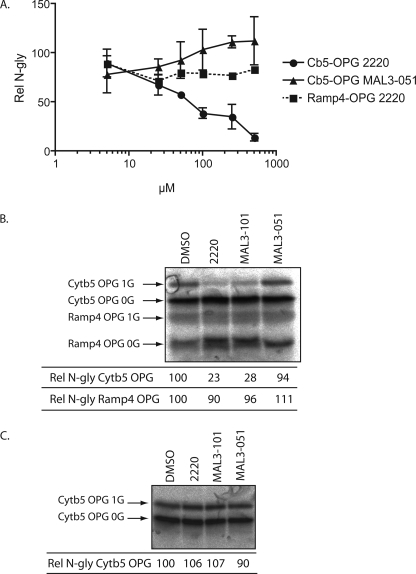 FIGURE 5.