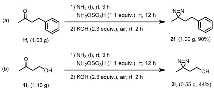 Scheme 4