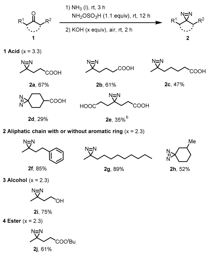 Scheme 2