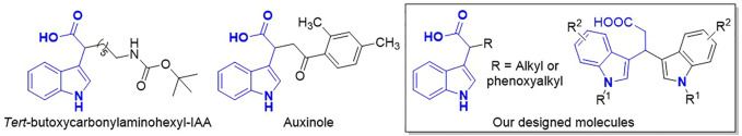 FIGURE 2