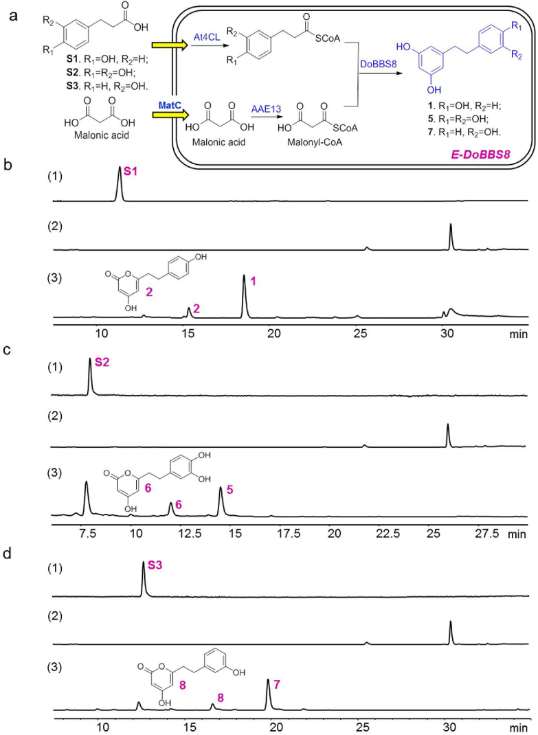 Figure 2