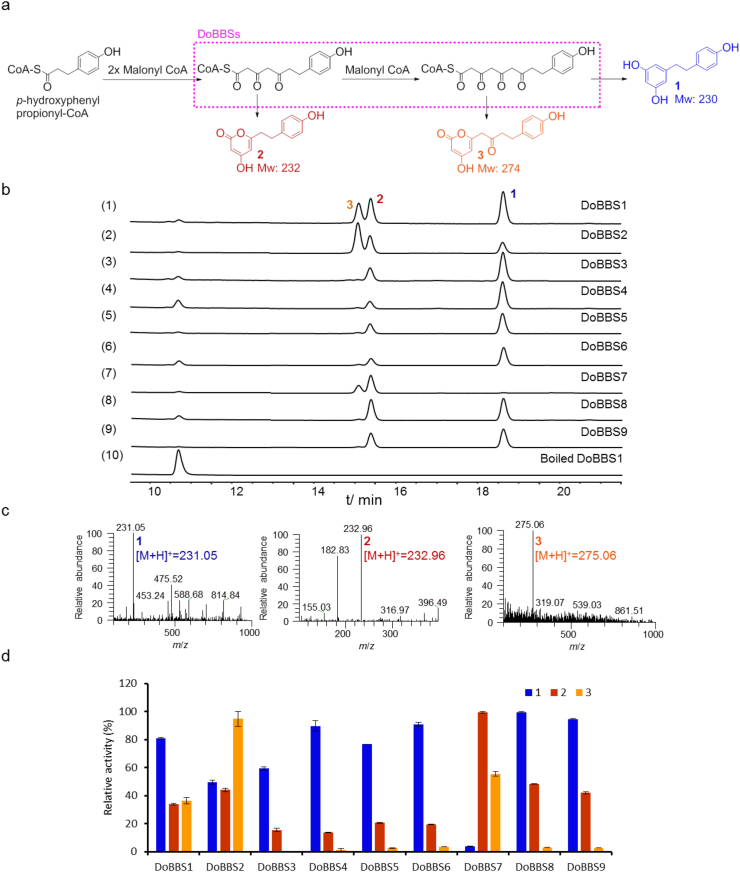 Figure 1