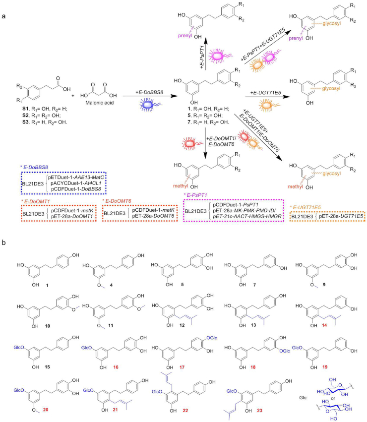 Figure 3