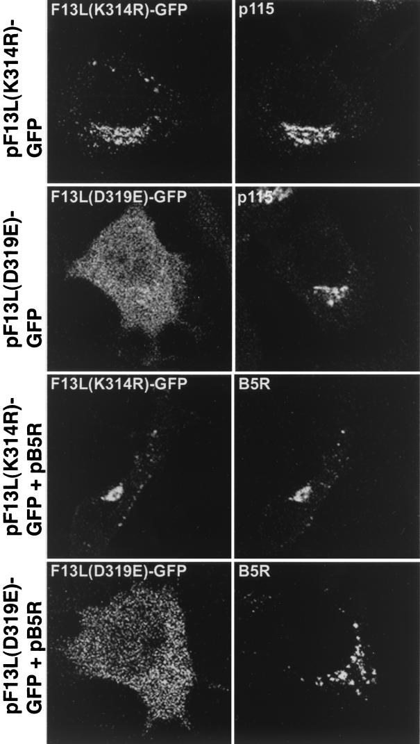 FIG. 8