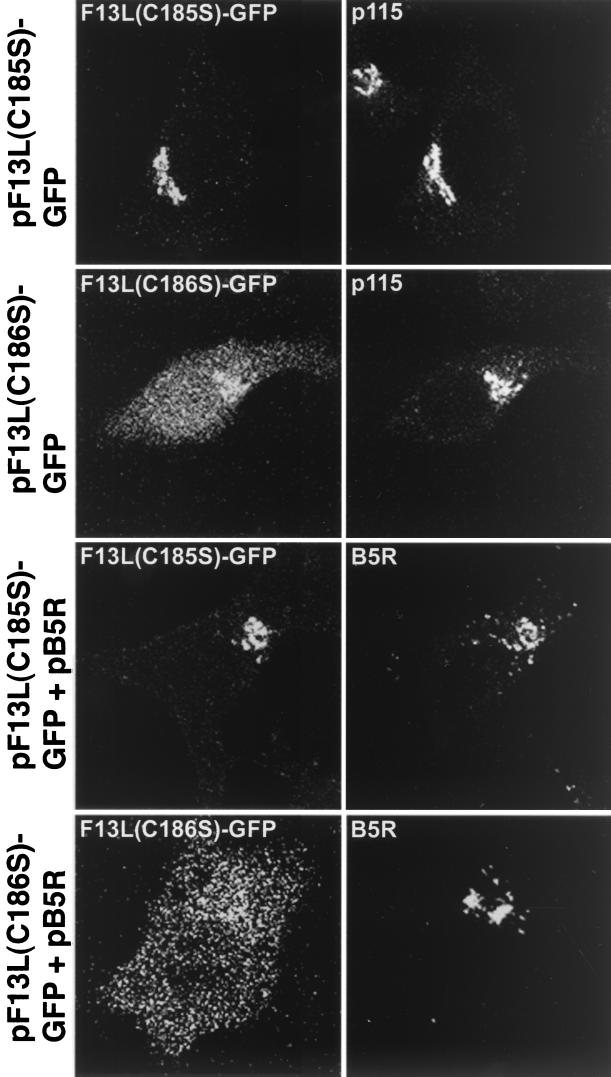 FIG. 9