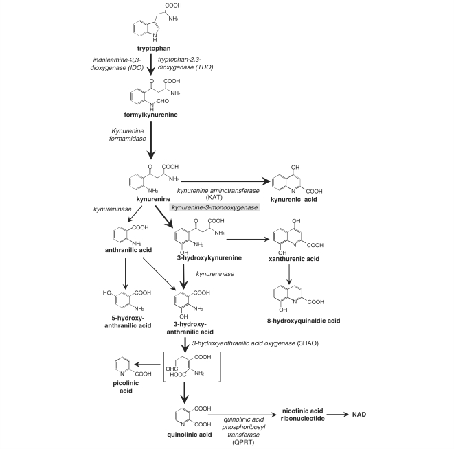 Figure 1