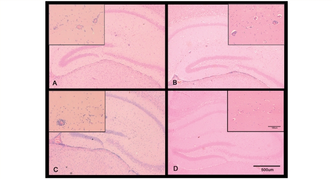 Figure 5