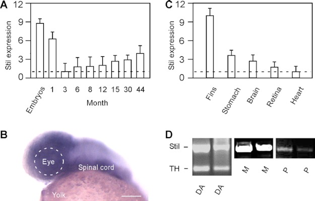 FIGURE 3.