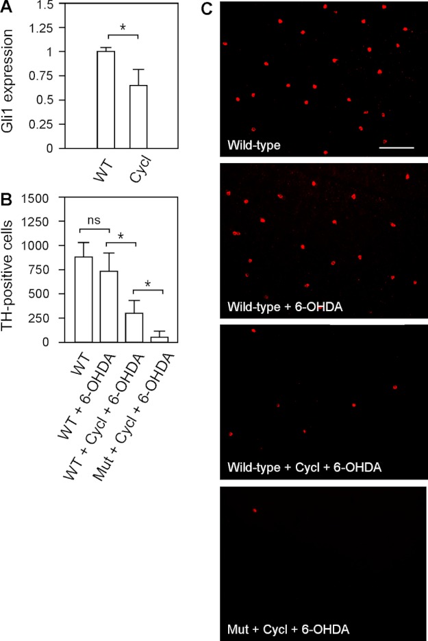 FIGURE 6.