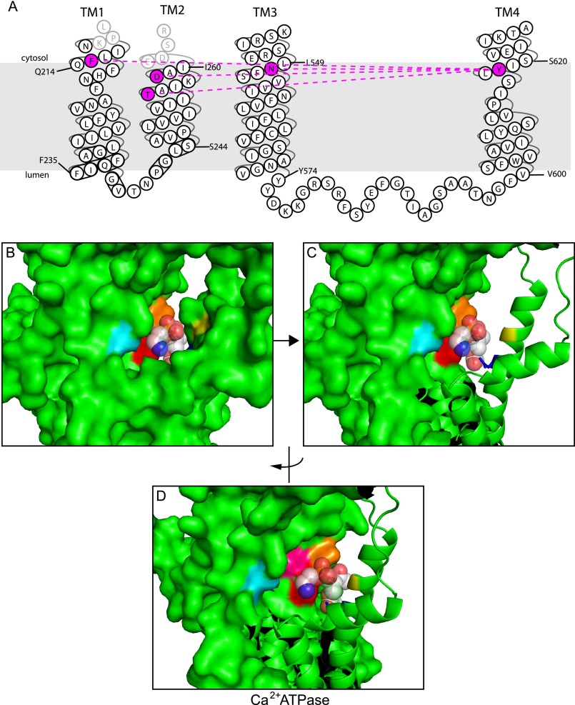 FIGURE 7.