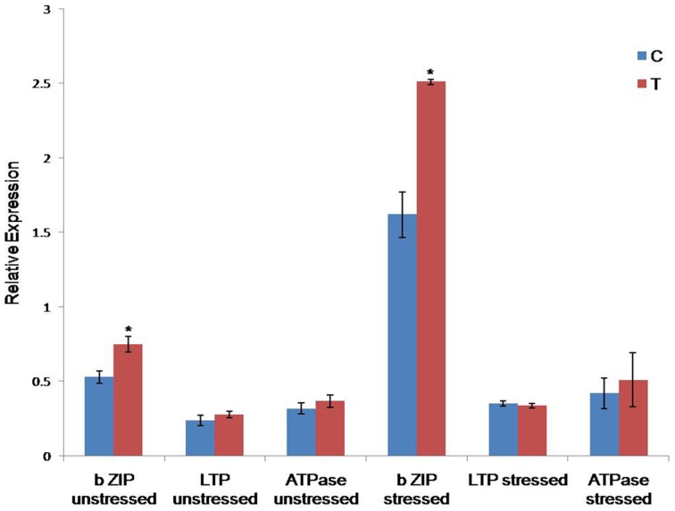 Figure 7