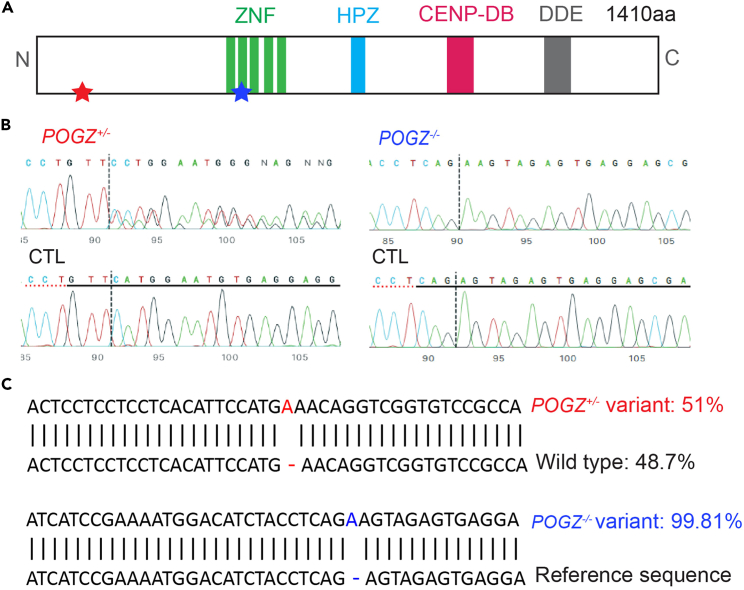 Figure 2