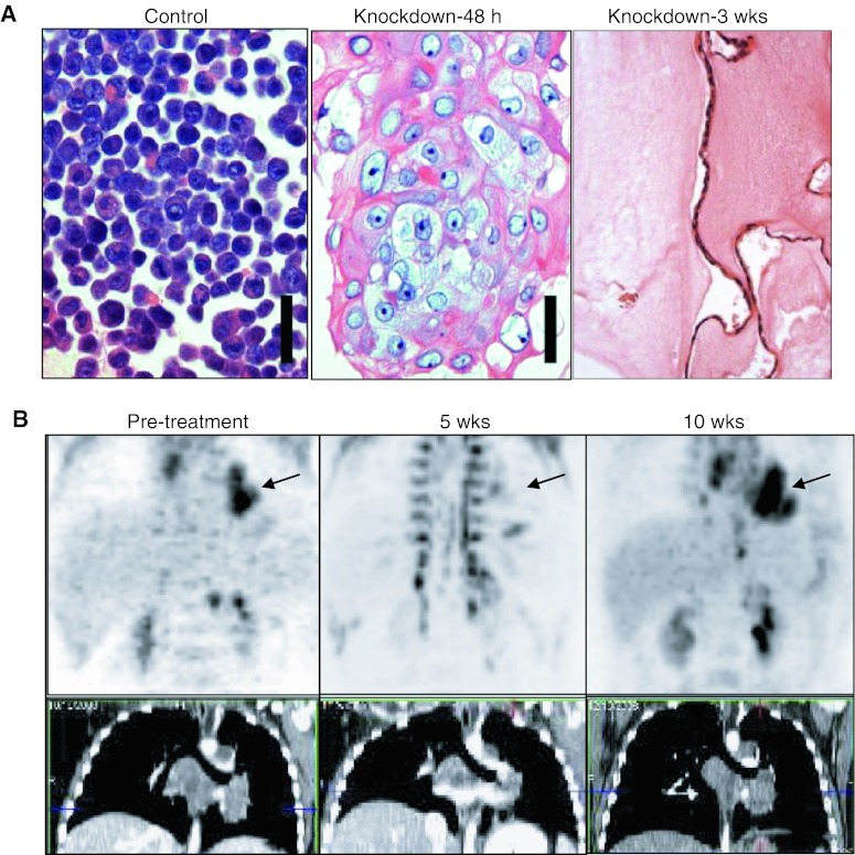 Fig. 3