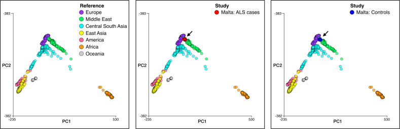 Fig. 3