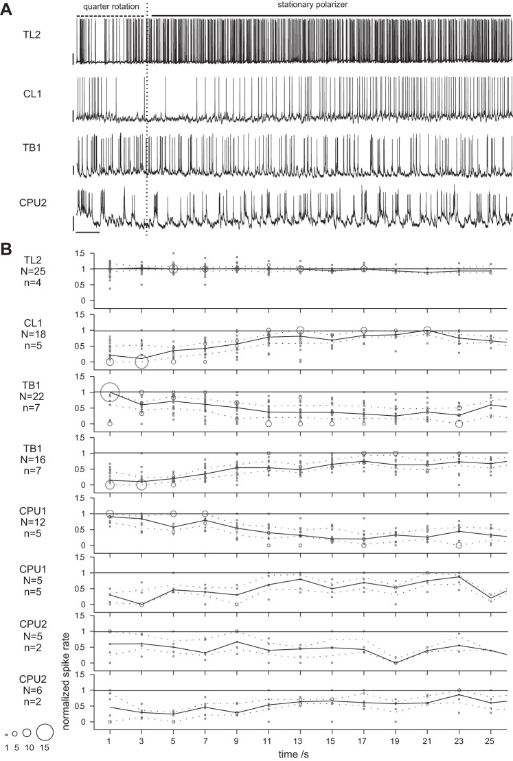 Fig. 9.