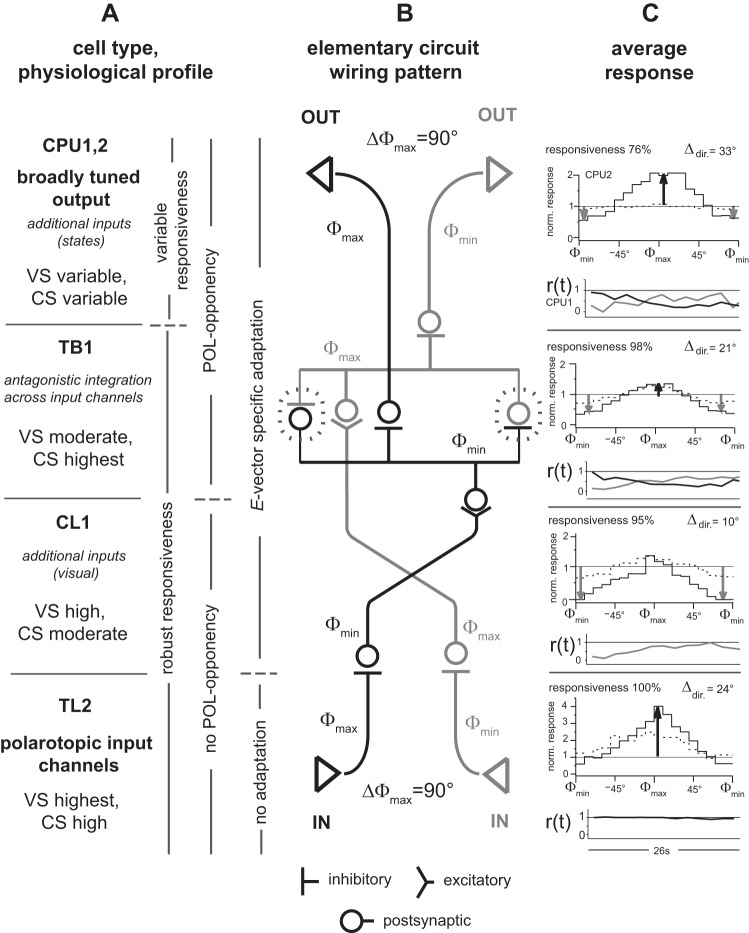 Fig. 13.